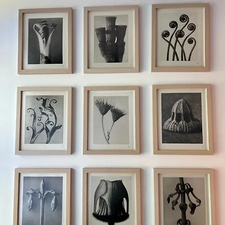 Hasenloft Διαμέρισμα *